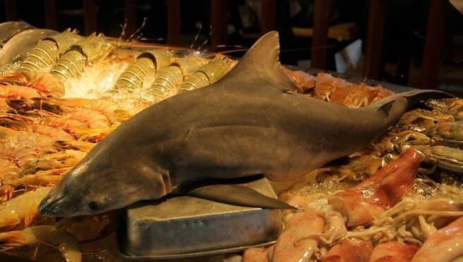 Shark Fleesch fir Potenz ze erhéijen
