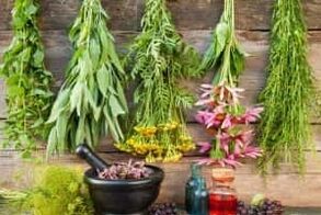 Folk Remedies fir Potenz ze erhéijen